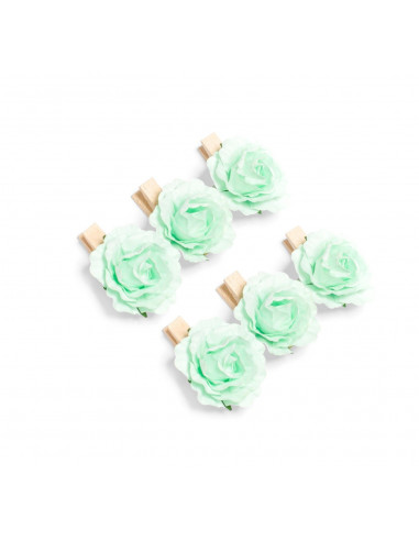 6 mini pinces bois avec roses vert menthe